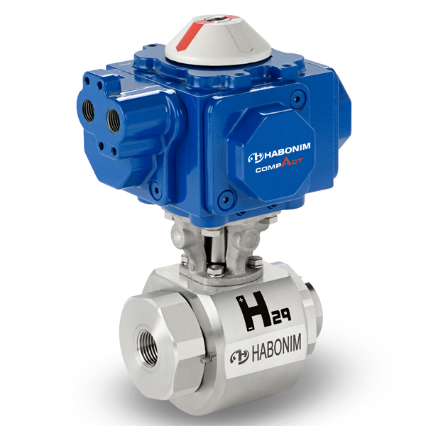 High Pressure Hydrogen Ball Valve ( H29 )